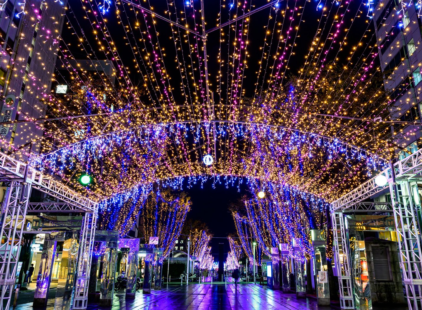 🌳 아오바 심볼 로드(아오바 신보루 로도) 이미지 5